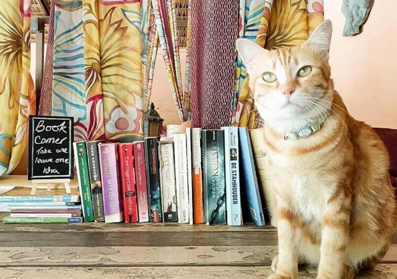 Casa Luna Hostel Bophut Dış mekan fotoğraf